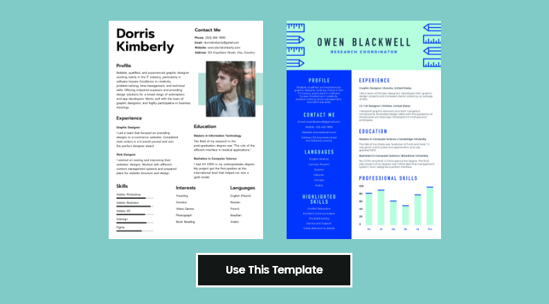 Resume Templates Samples